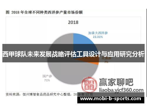 西甲球队未来发展战略评估工具设计与应用研究分析